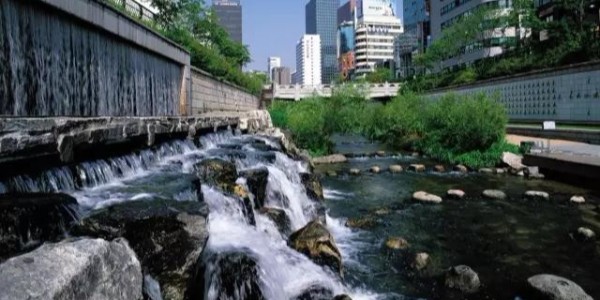 河道景觀設(shè)計秘籍：駁岸、親水、綠化、綜合治理、生態(tài)修復(fù)及植物選擇